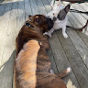 Meet your Posher, Deanna